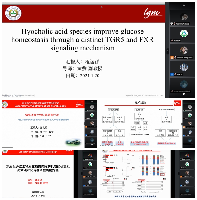1611730004341780.jpg 光影魔術手拼圖.jpg