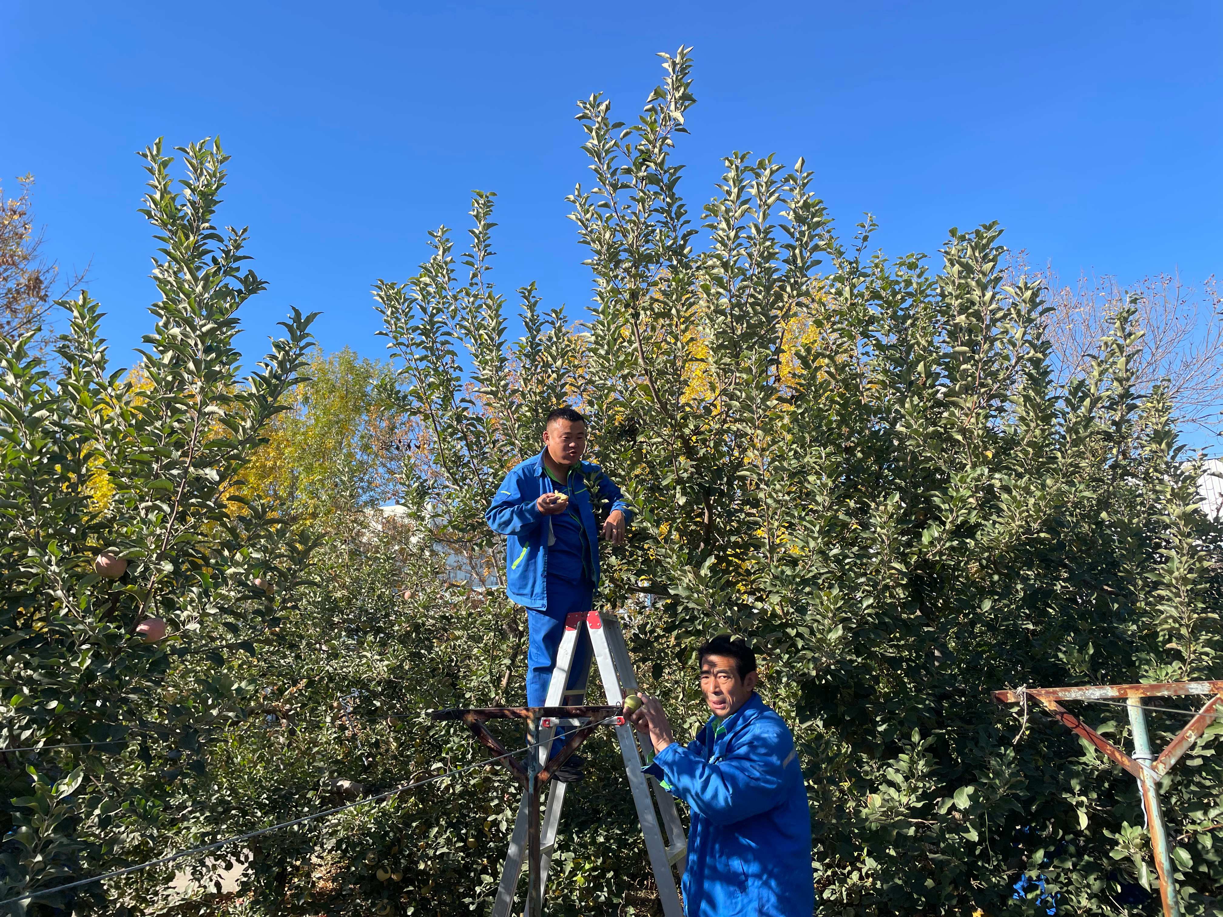 1700646391224882.jpg 2.jpg